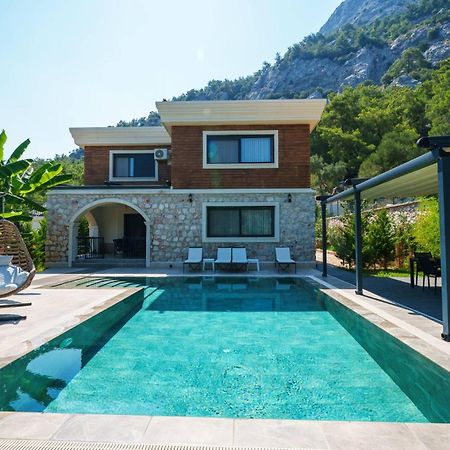 Antalya Silyan Villas Hacisekililer エクステリア 写真